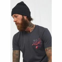 Joe Browns Grey Scorpion Back Print Graphic Print T-Shirt -Joe Browns shop unnamed file 1256