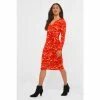 Joe Browns Orange Fox And Florals Animal Print Dress